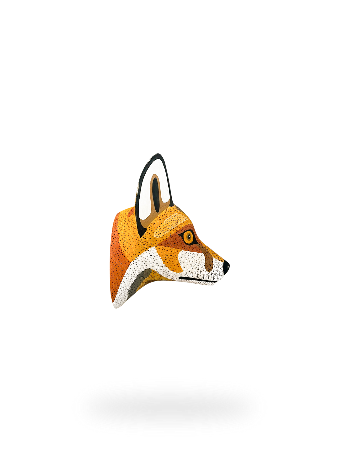 The Andean Fox