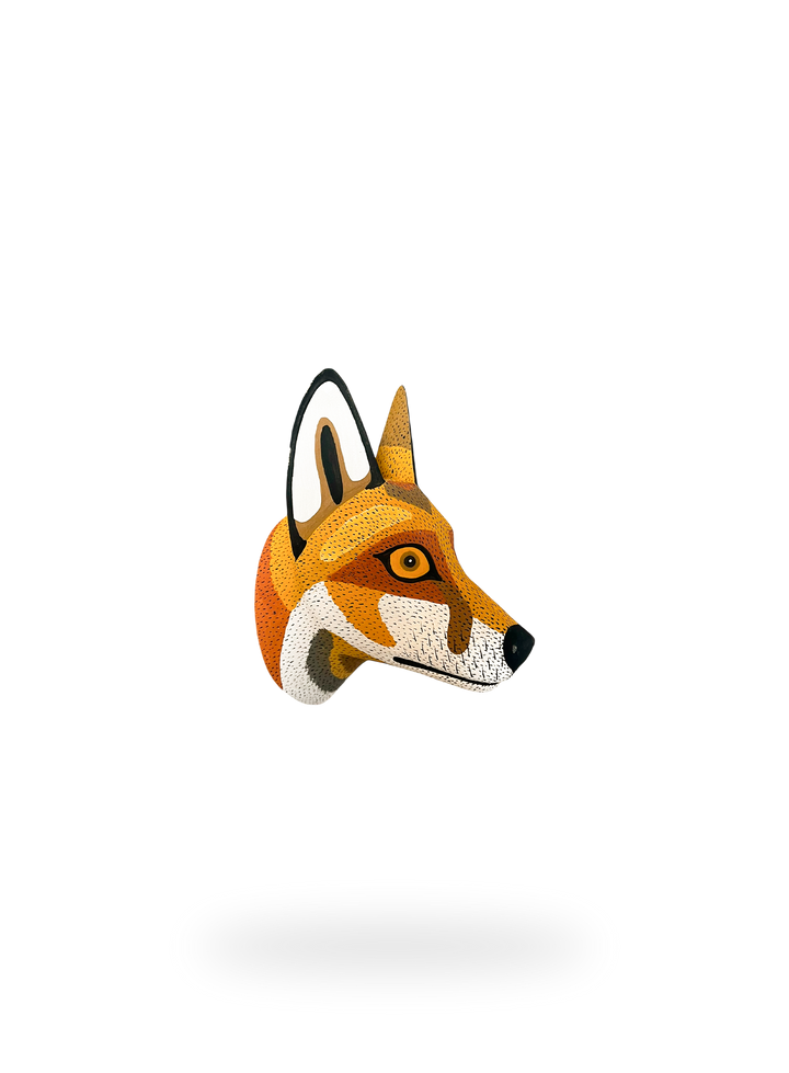 The Andean Fox