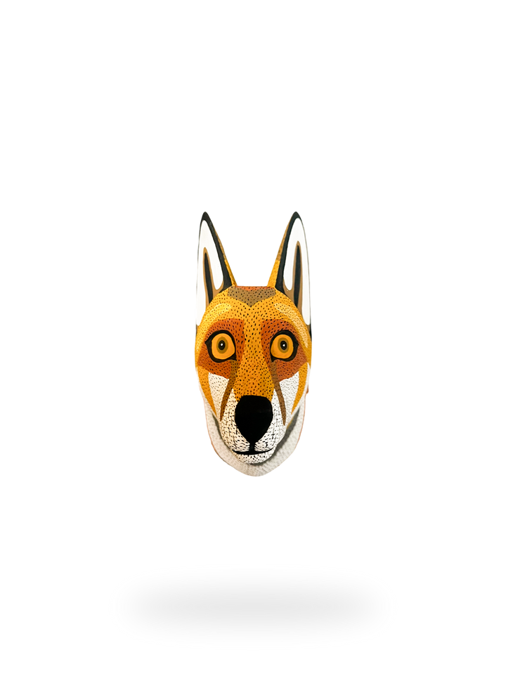 The Andean Fox