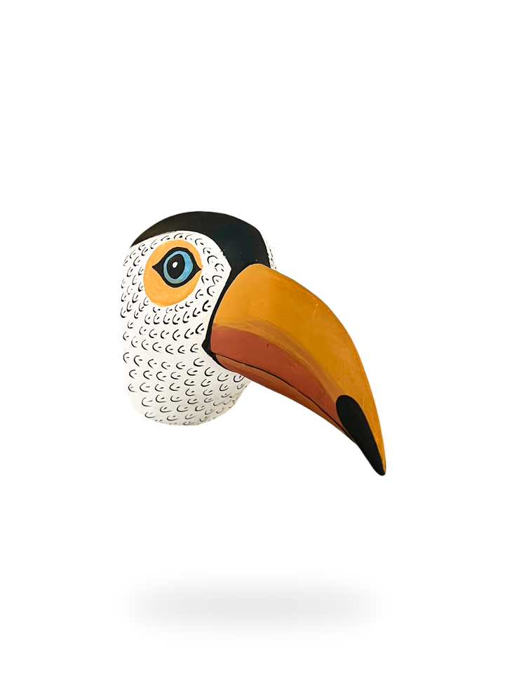 The Toucan