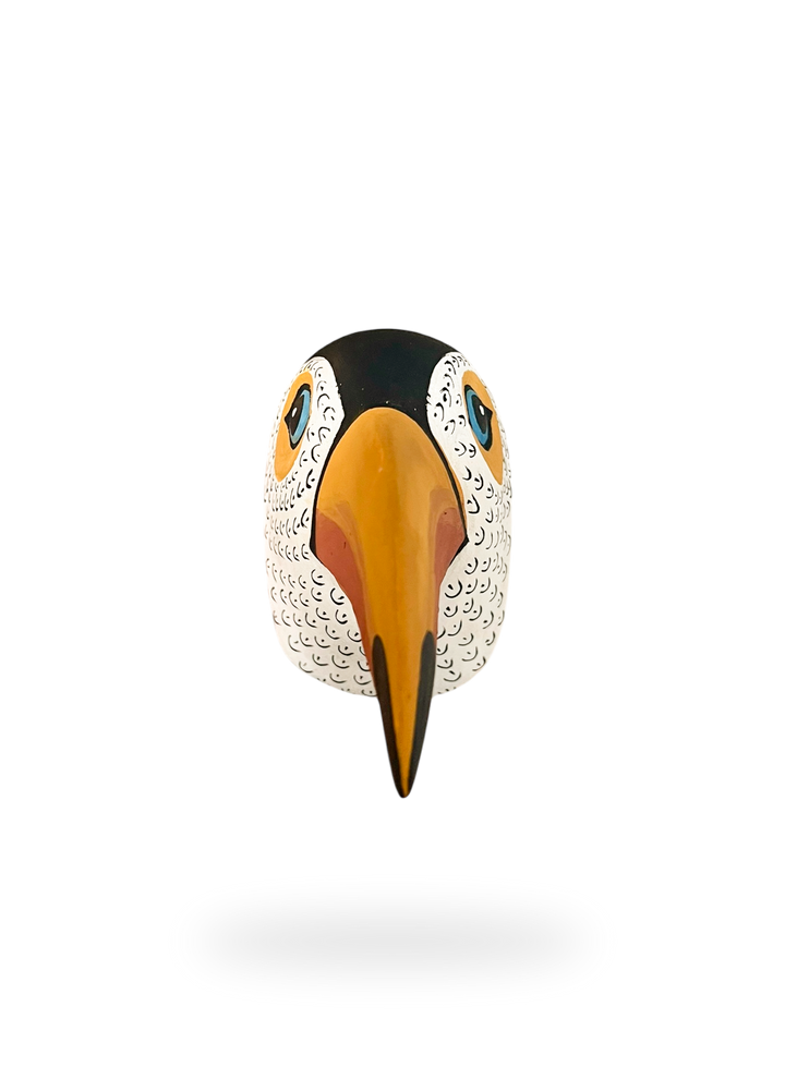 The Toucan