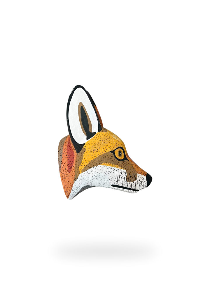 The Andean Fox