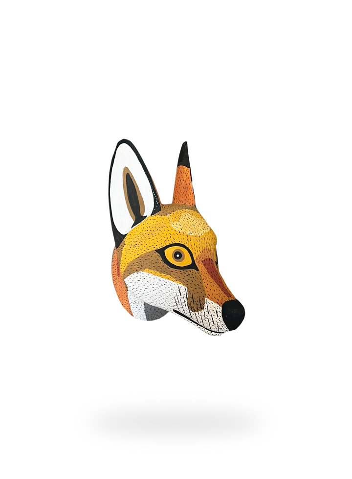 The Andean Fox