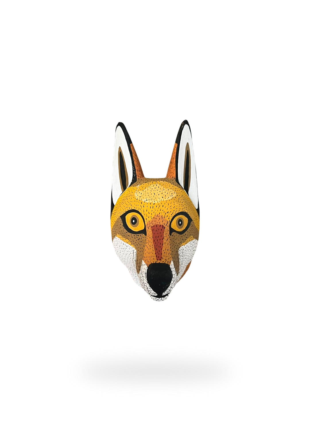 The Andean Fox