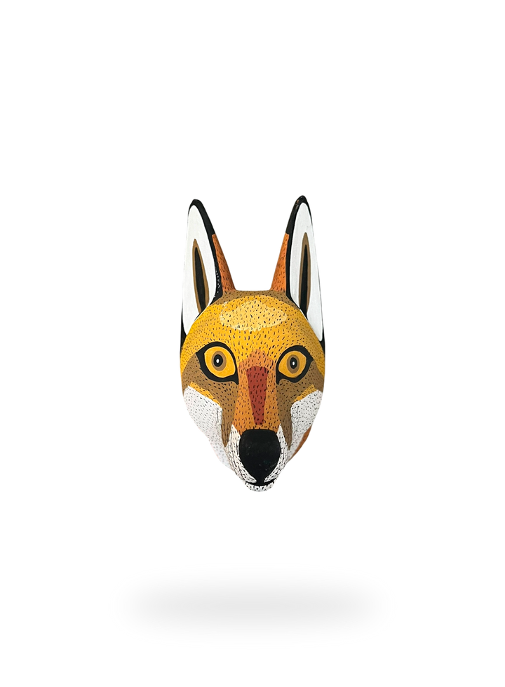 The Andean Fox