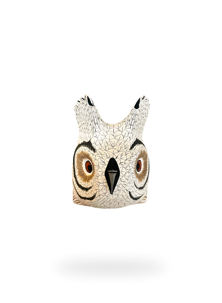The Barn Owl