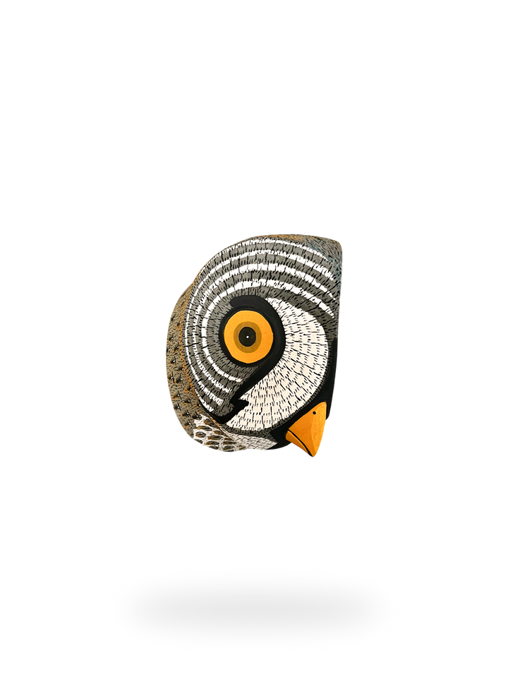 The Striped Owl