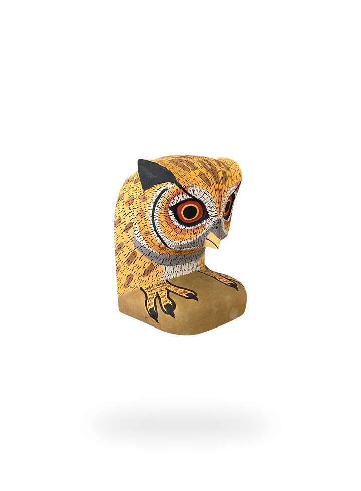 The Resting Golden Owl