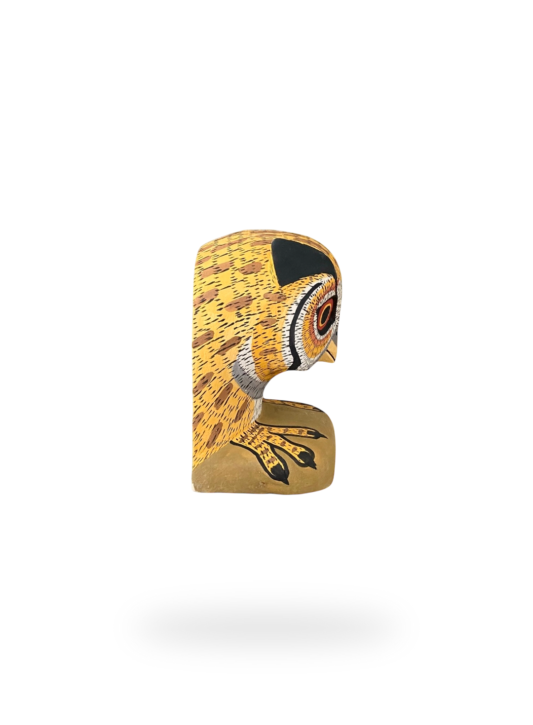 The Resting Golden Owl