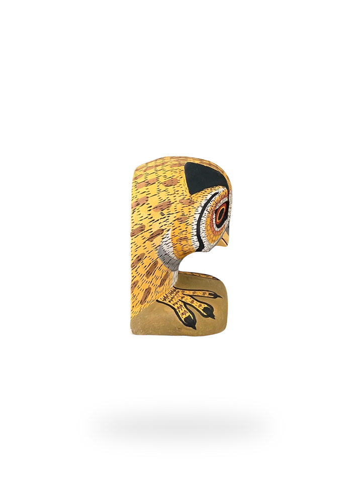 The Resting Golden Owl