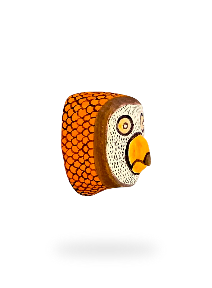 The Little Owl