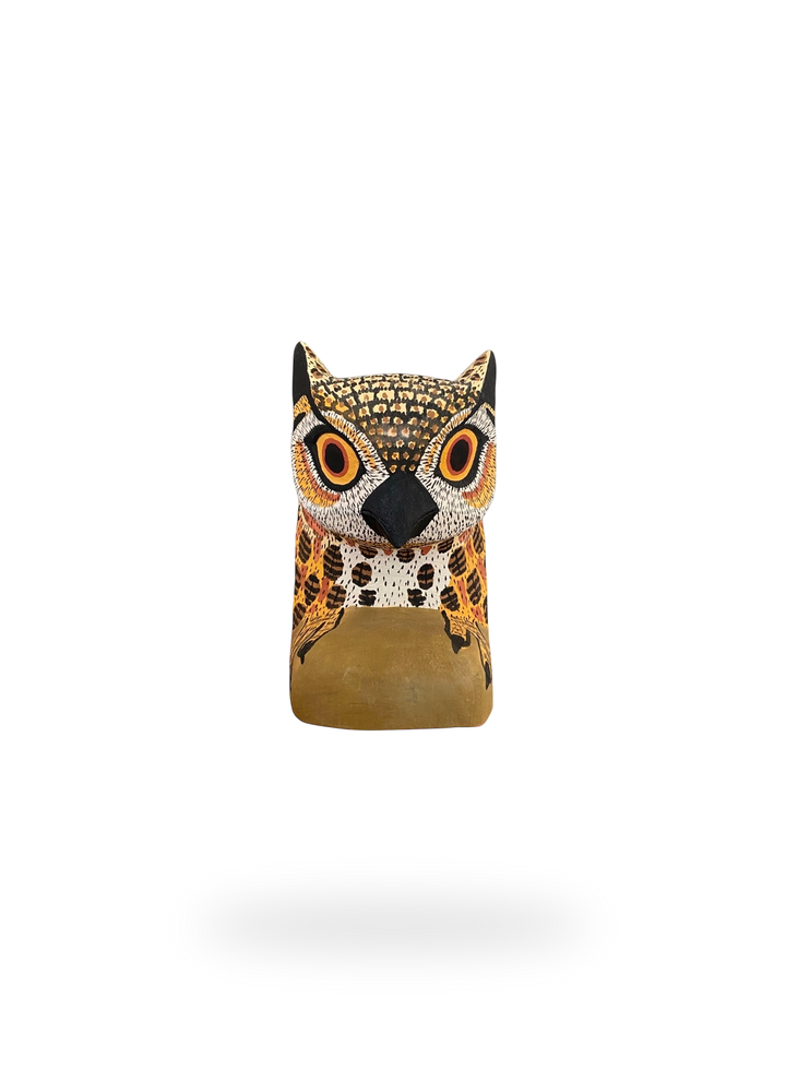 The Resting Owl