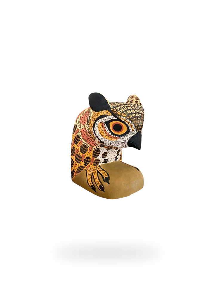 The Resting Owl