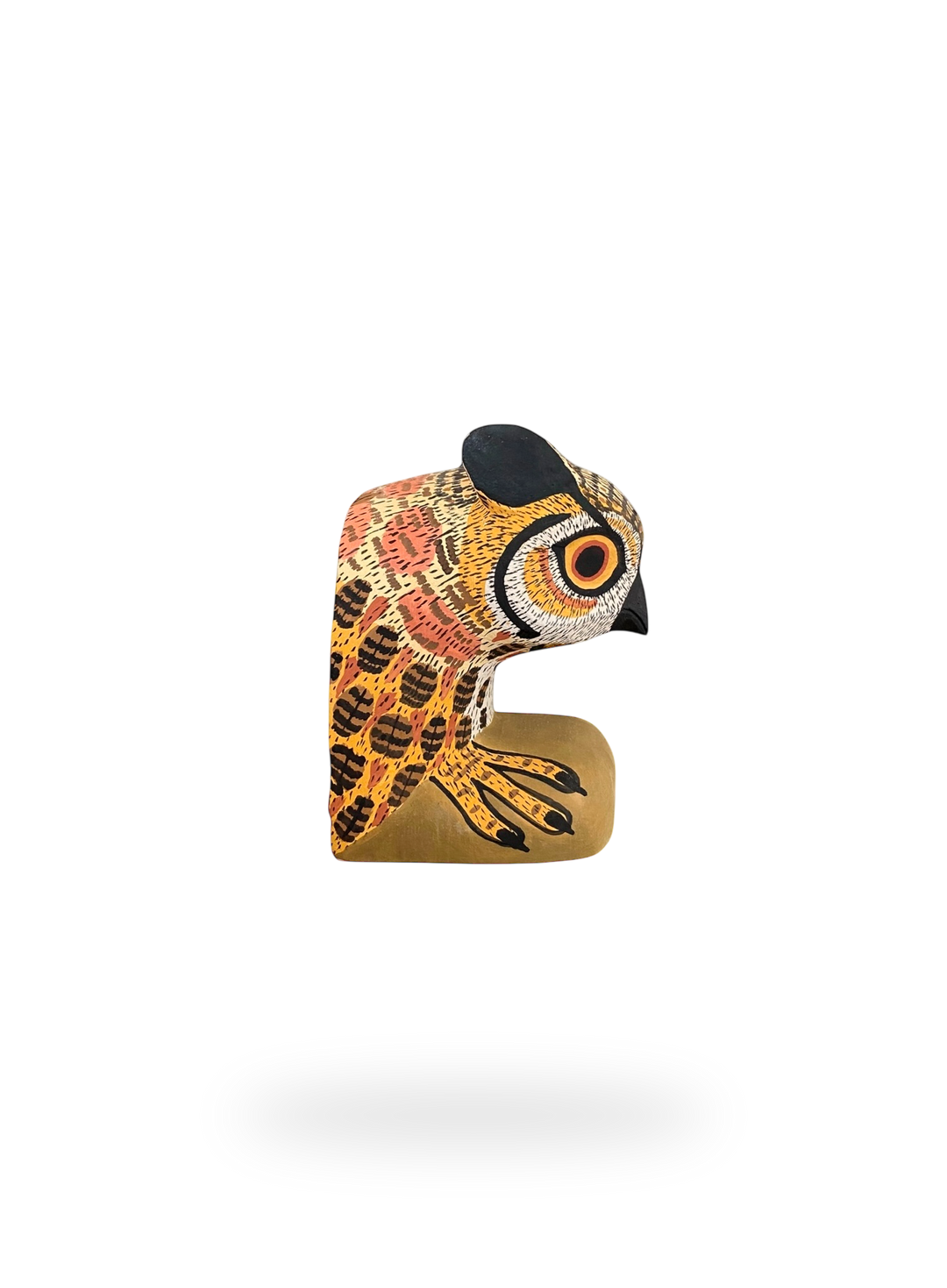 The Resting Owl