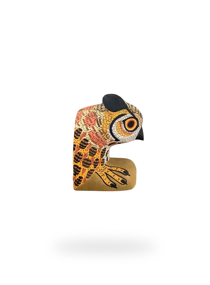 The Resting Owl