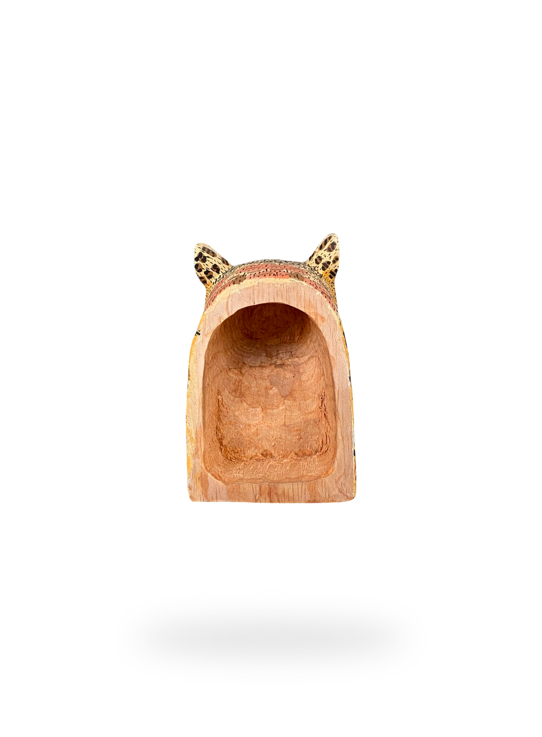 The Resting Owl