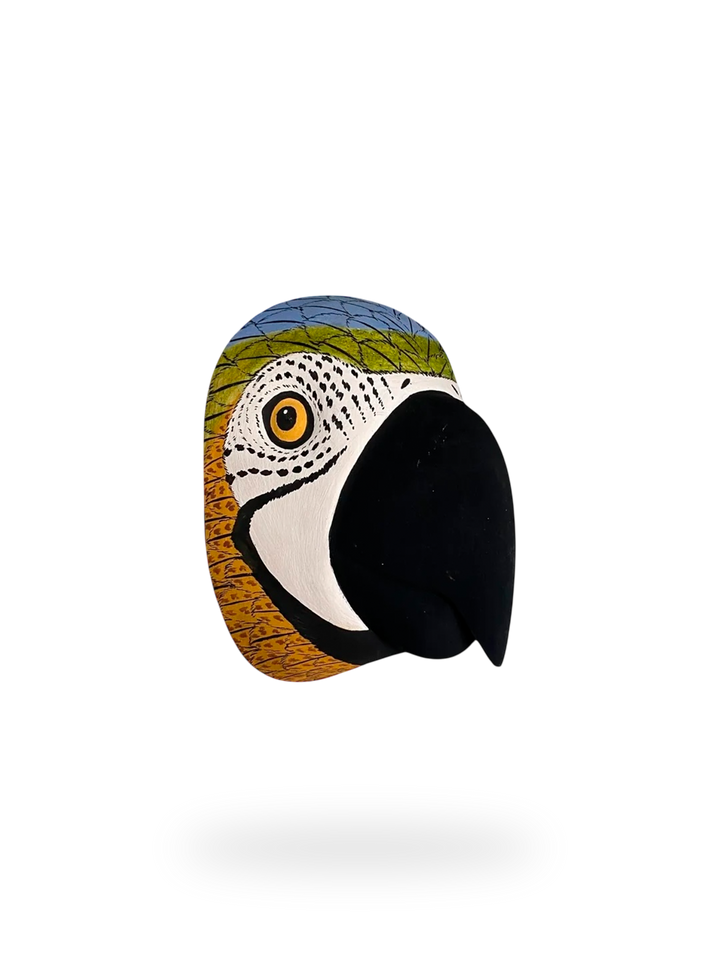 The Parrot