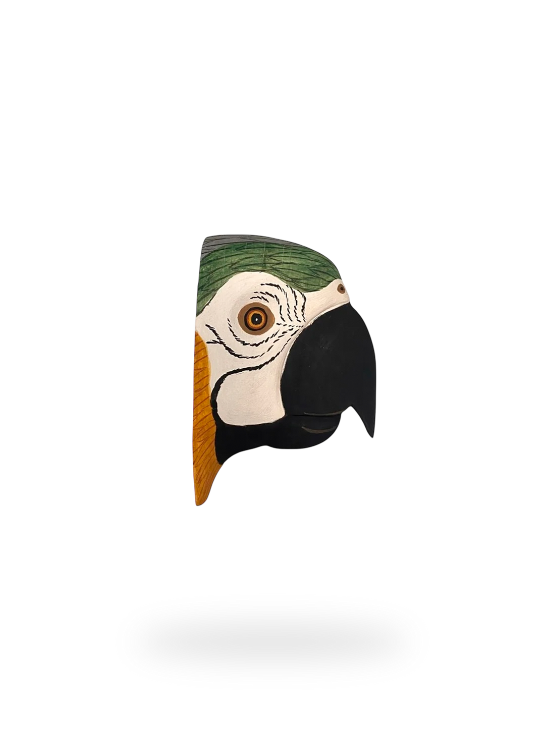 The Macaw