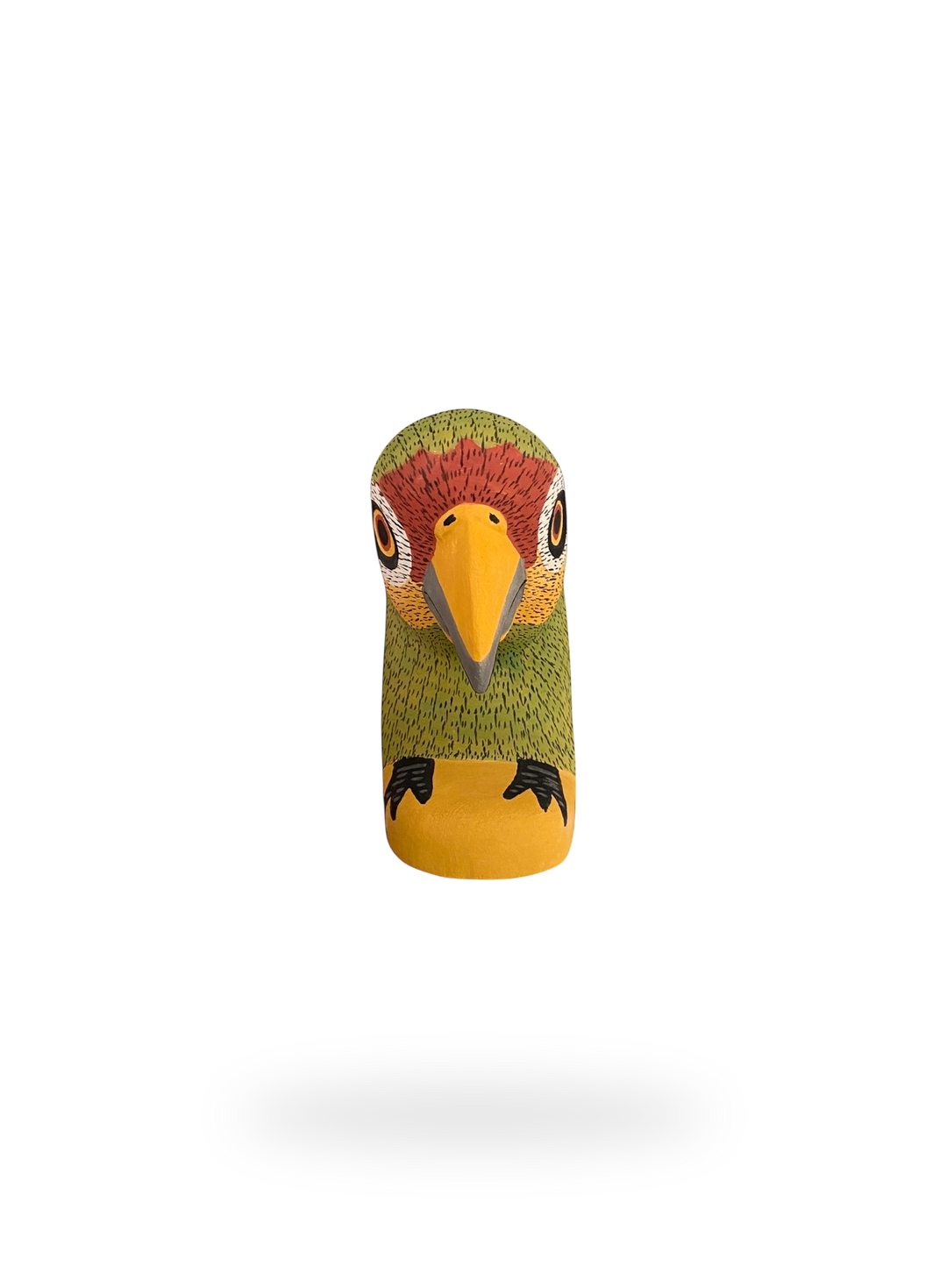 The Resting Parrot