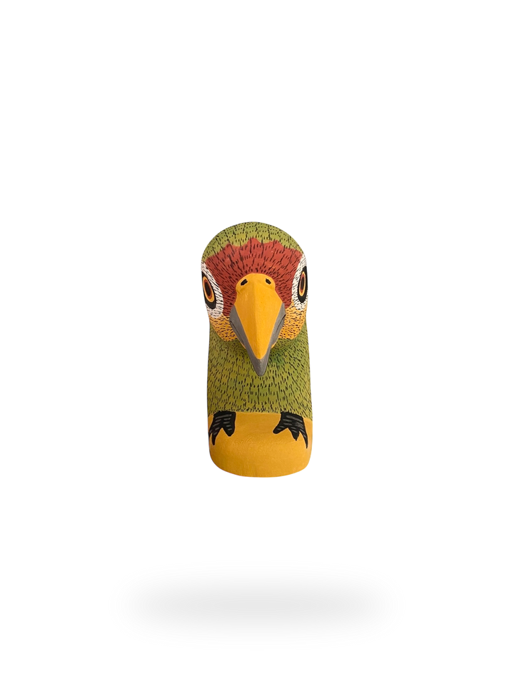 The Resting Parrot