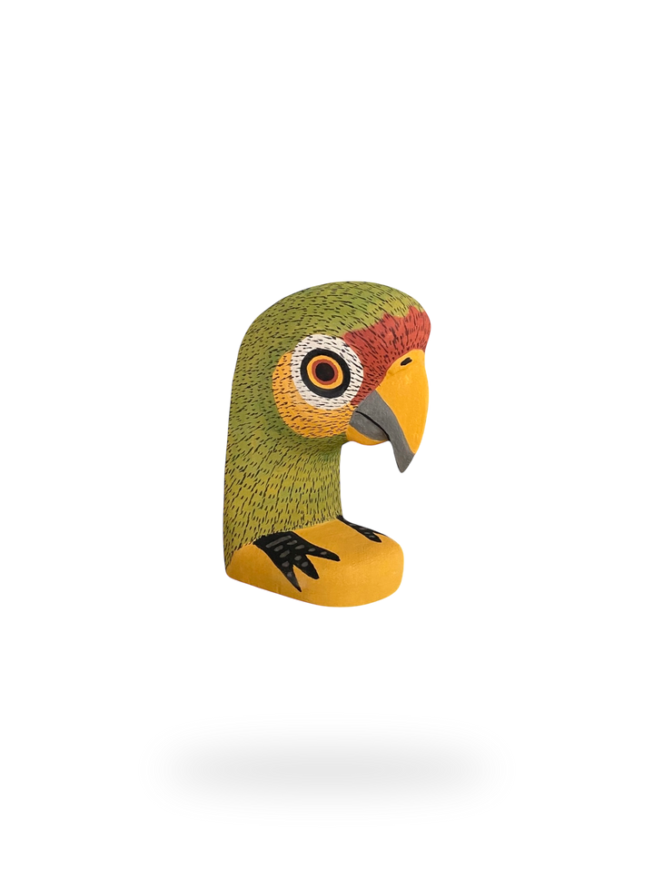 The Resting Parrot