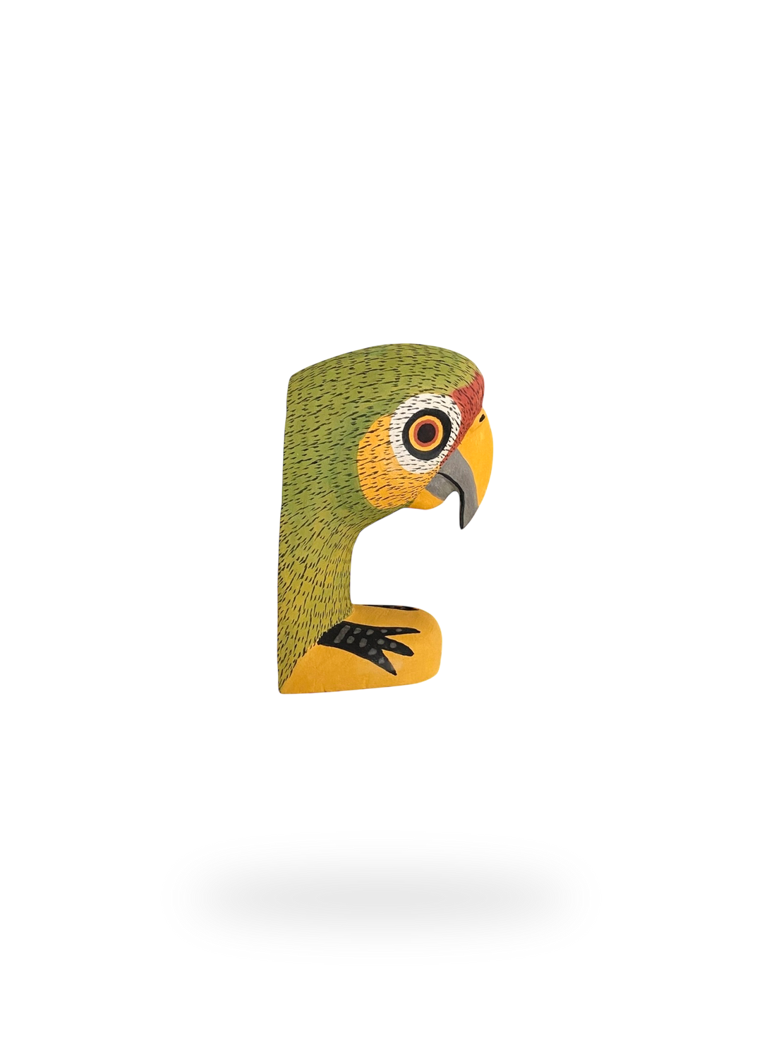 The Resting Parrot