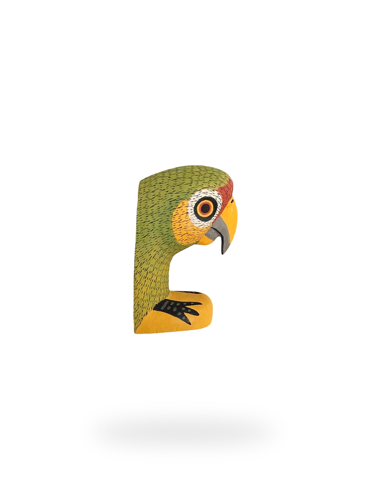 The Resting Parrot