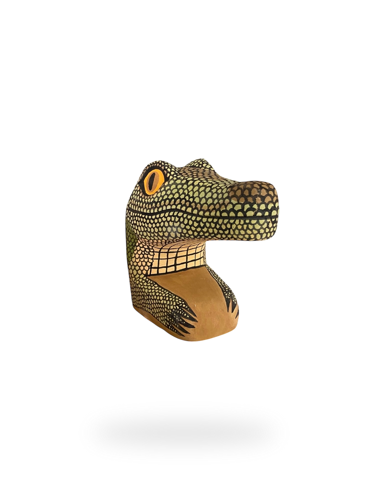The Resting Alligator
