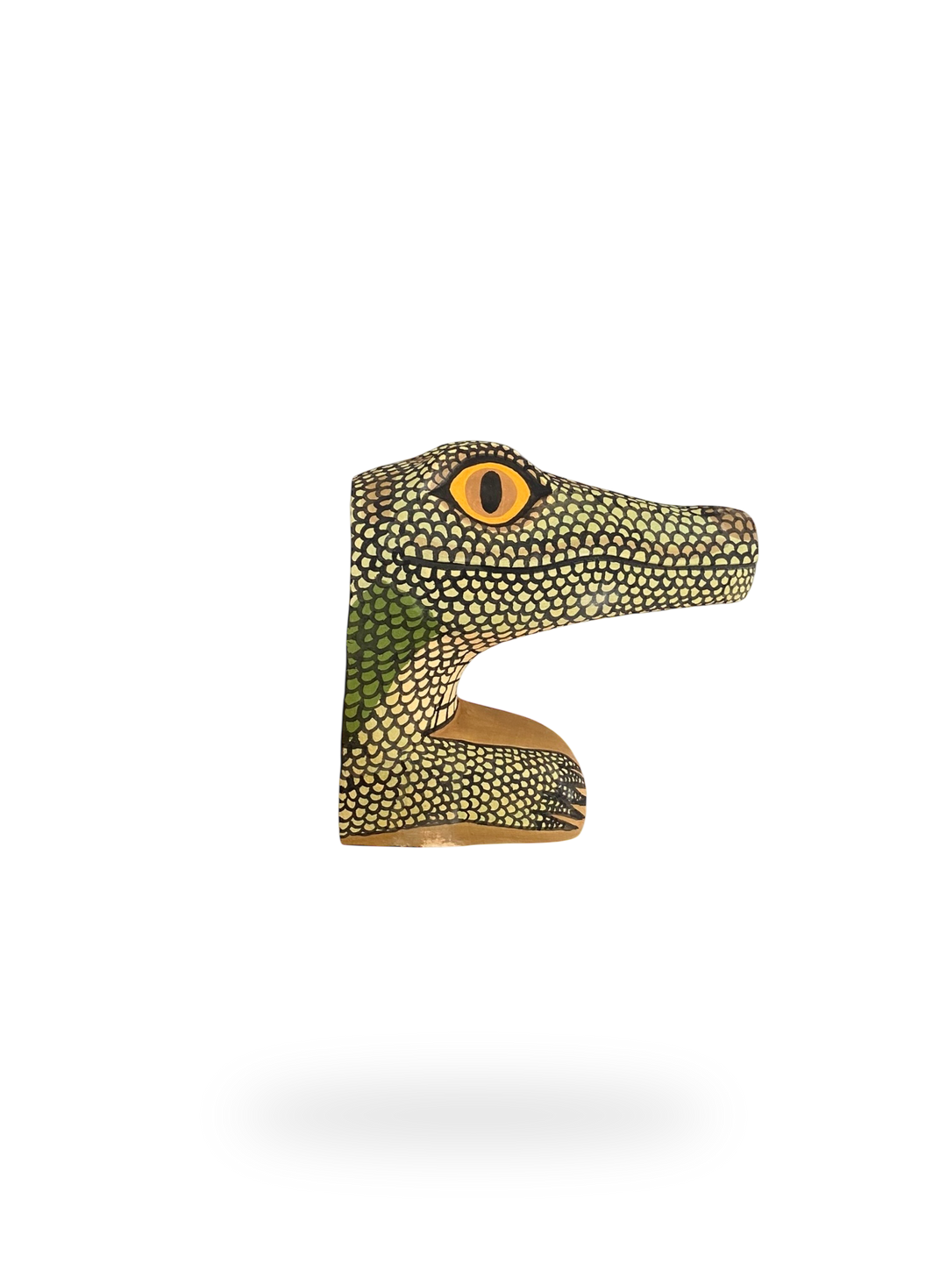 The Resting Alligator