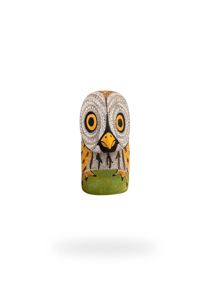 The Resting Barn Owl