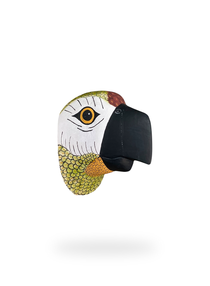 The Green Parrot
