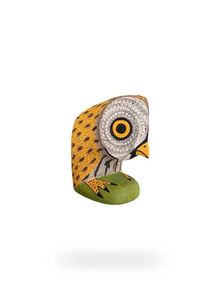 The Resting Barn Owl