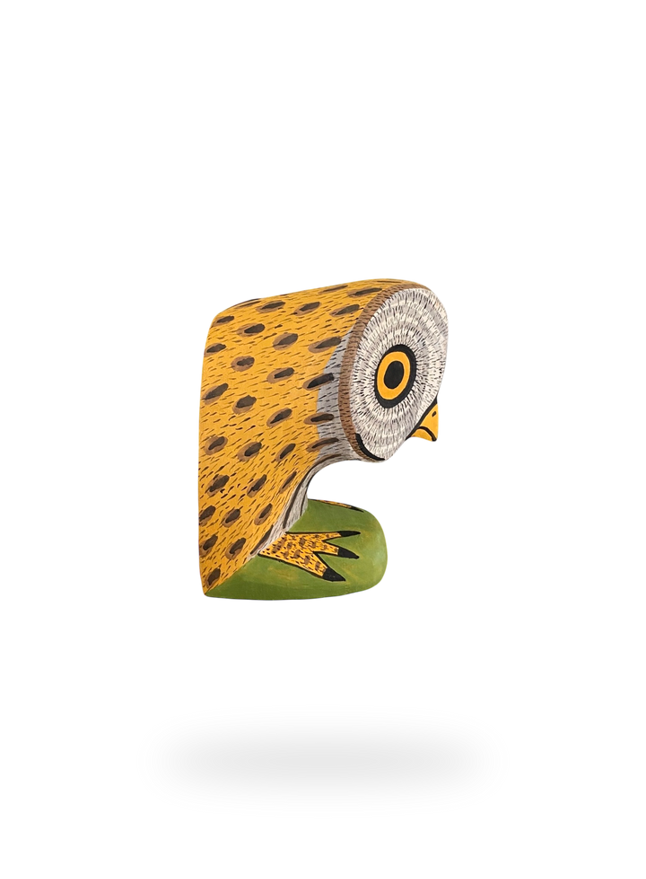 The Resting Barn Owl