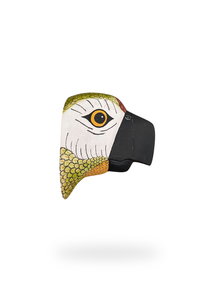 The Green Parrot