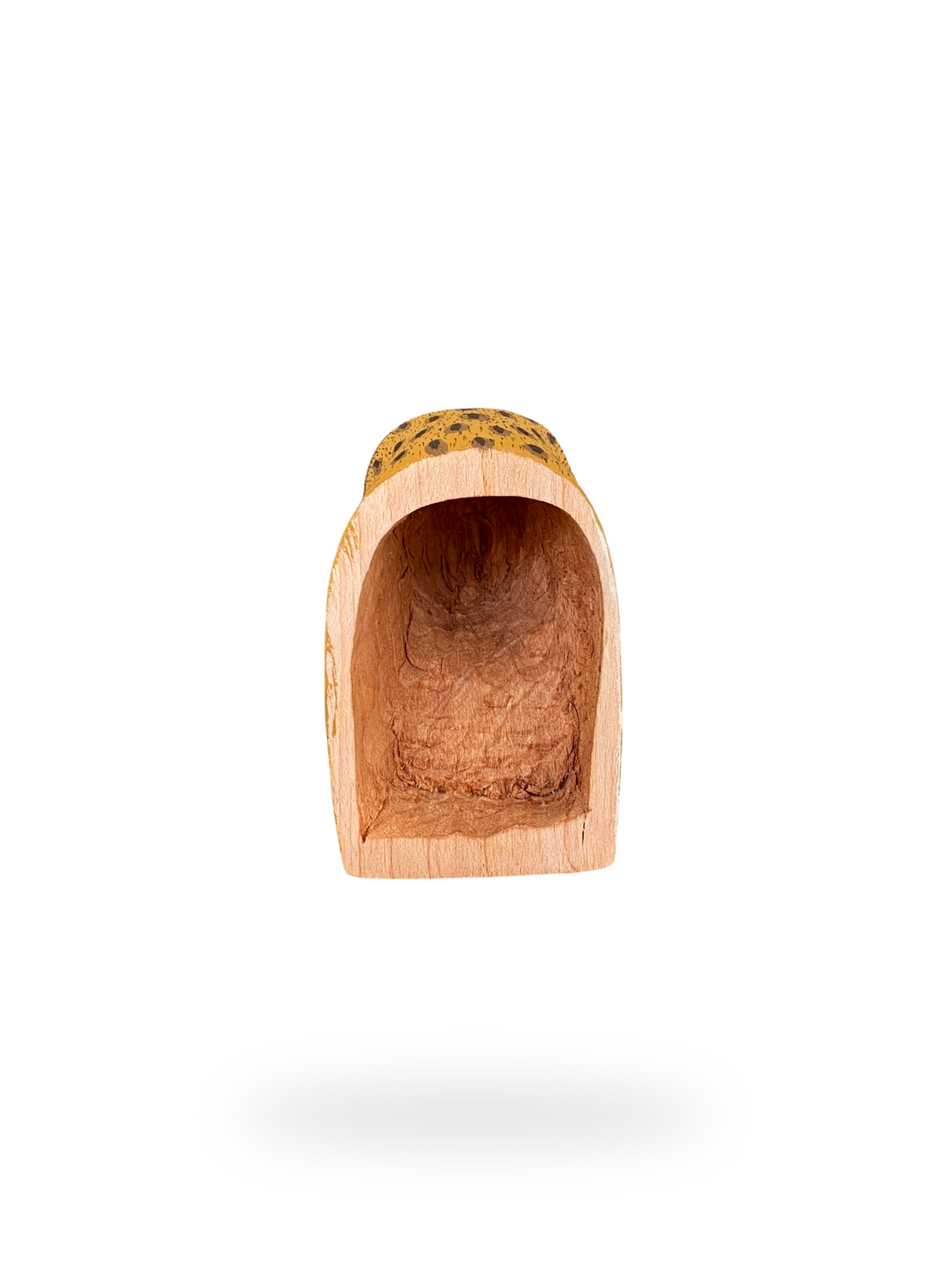 The Resting Barn Owl