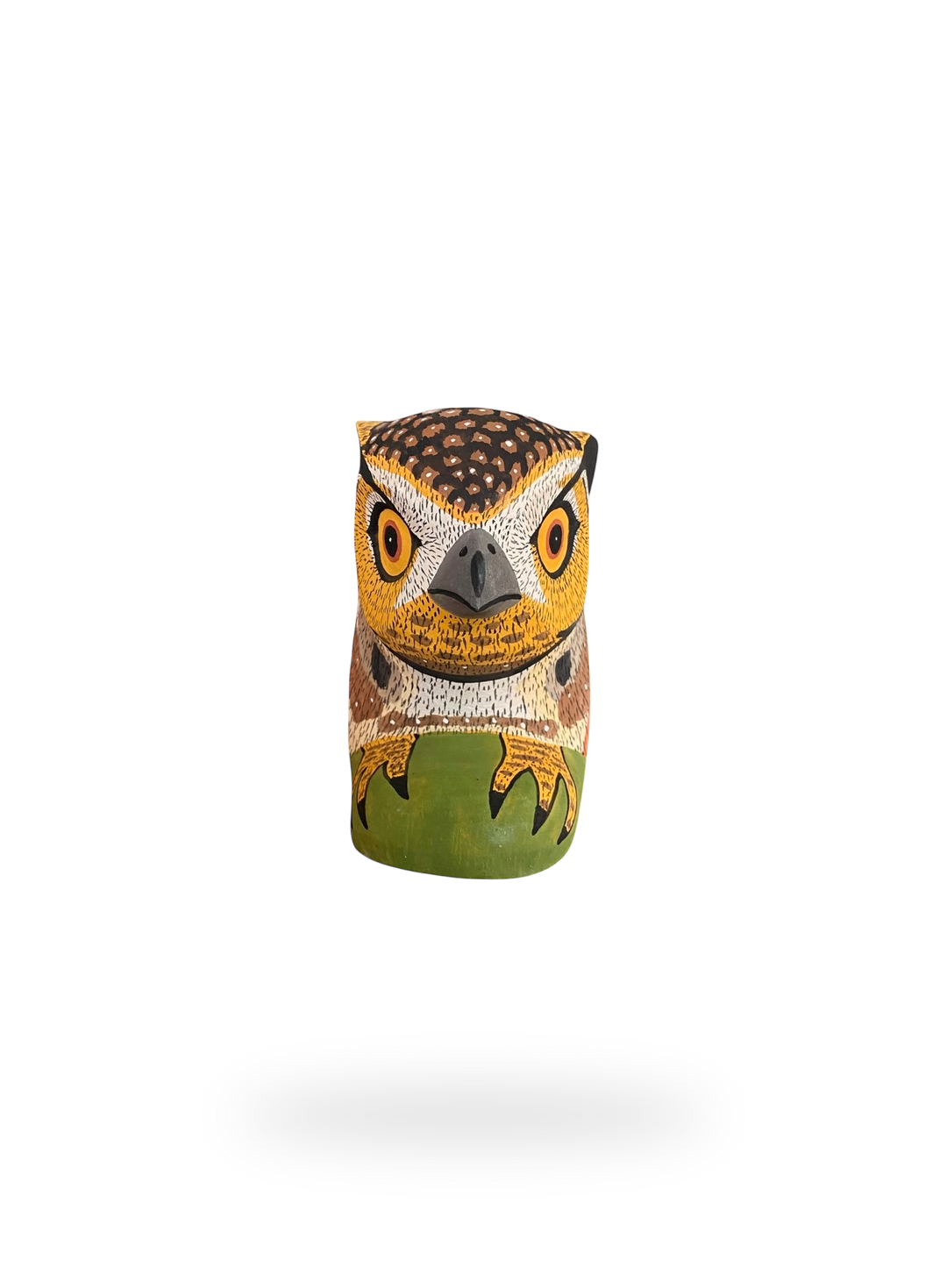 The Resting Owl