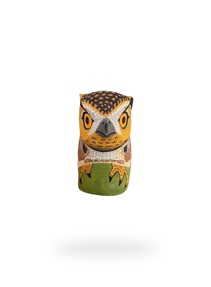The Resting Owl