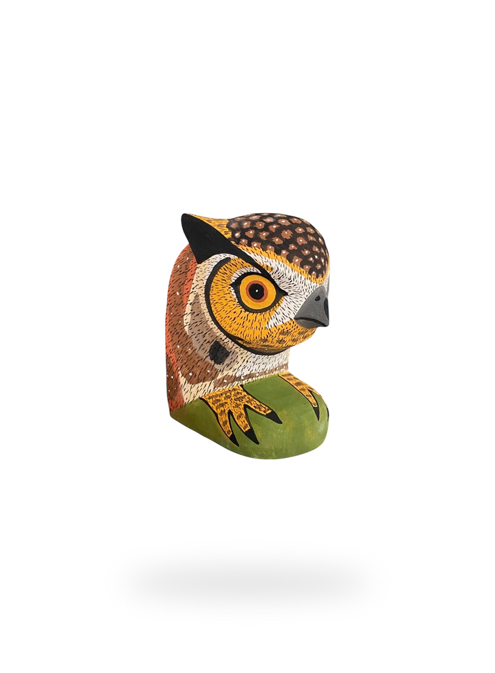 The Resting Owl