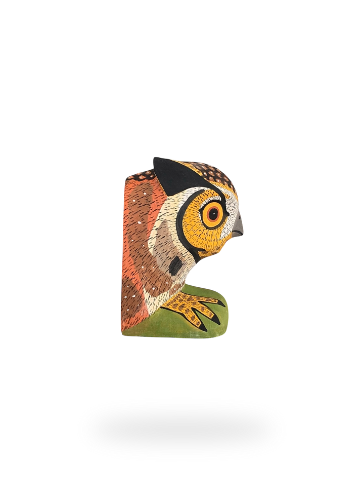 The Resting Owl