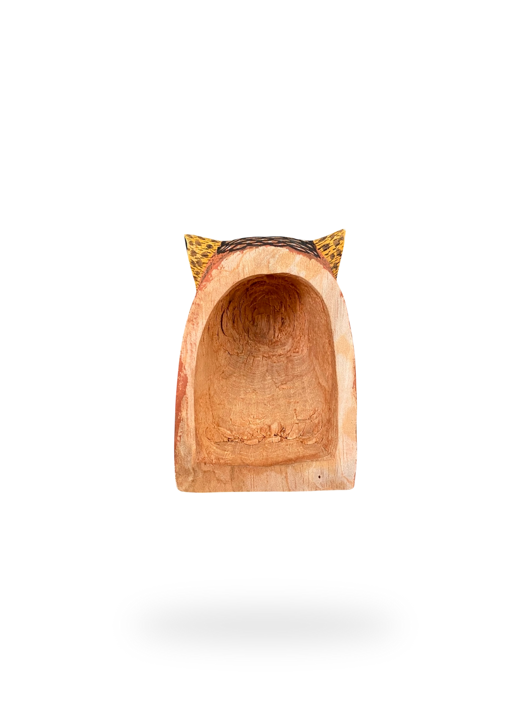 The Resting Owl