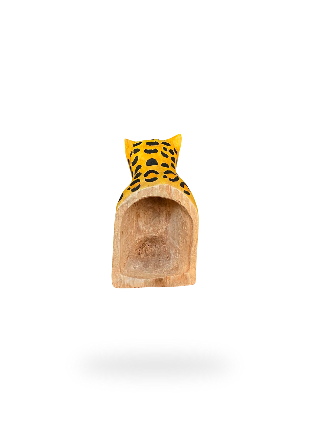 The Resting Leopard