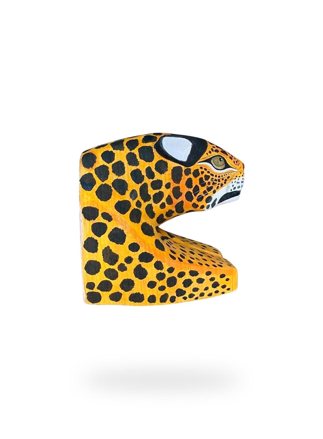 The Resting Ocelot