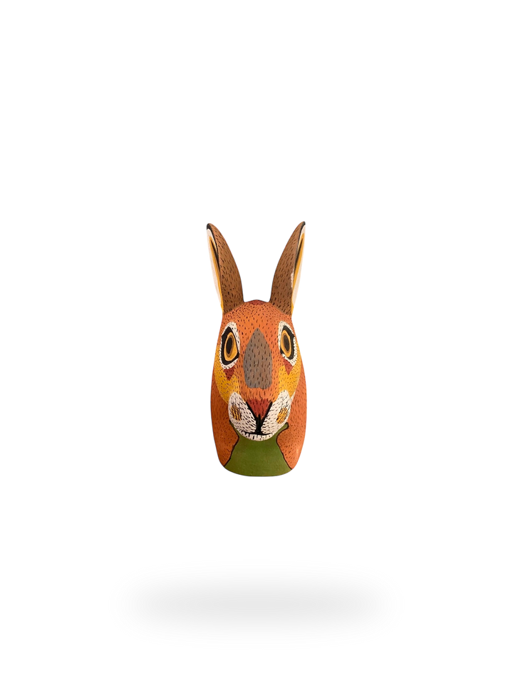 The Resting Rabbit