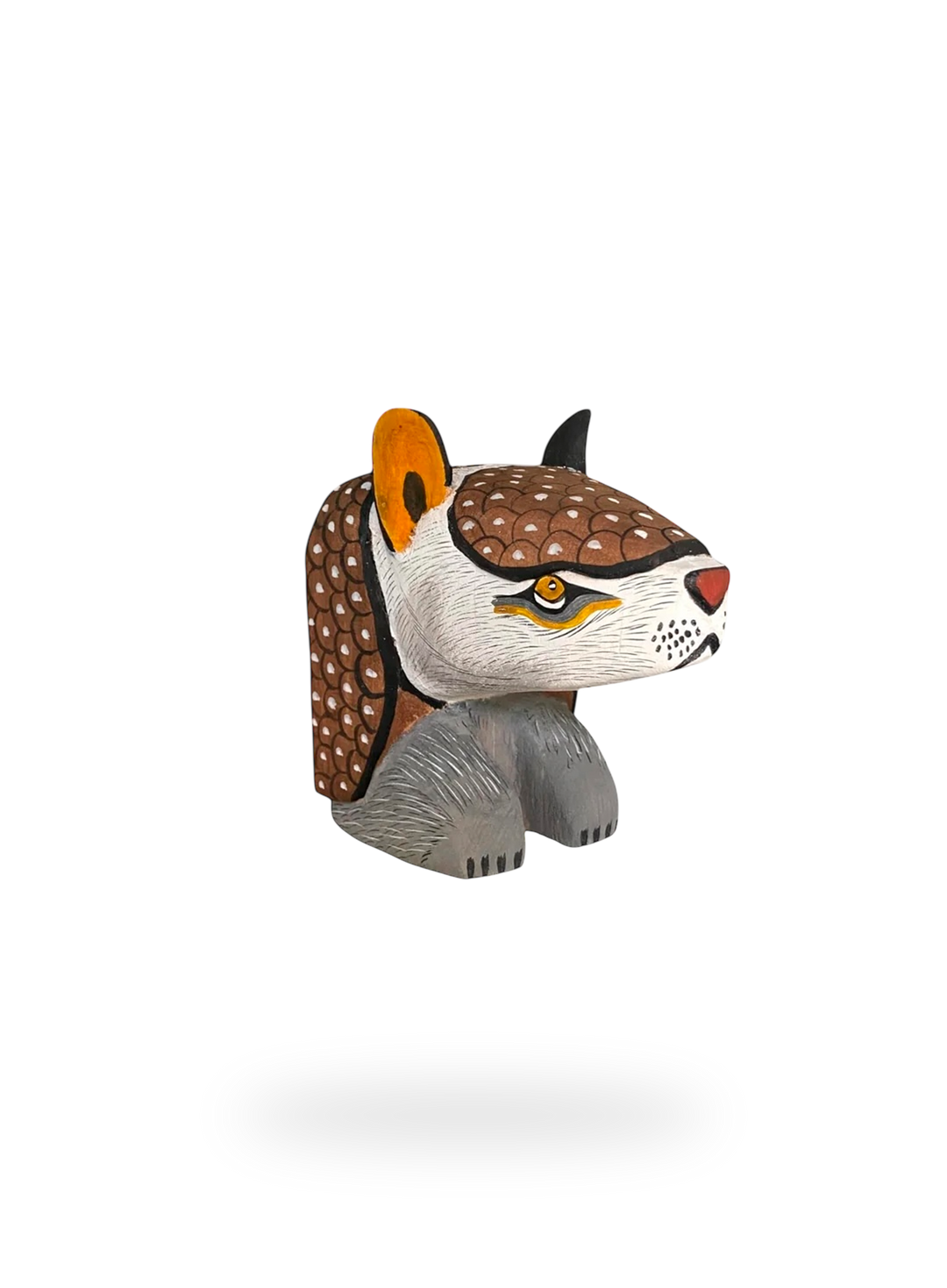 The Resting Armadillo