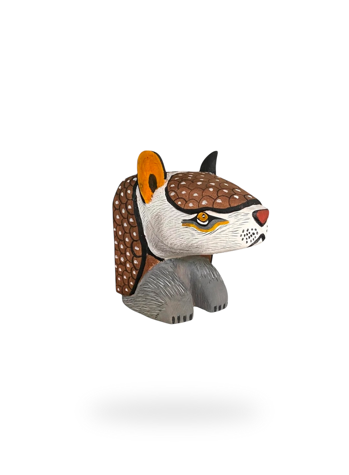The Resting Armadillo