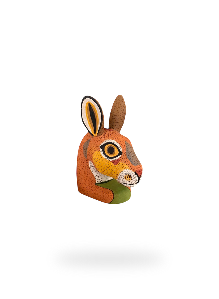 The Resting Rabbit