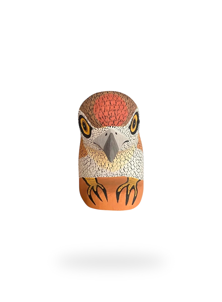 The Resting Eagle