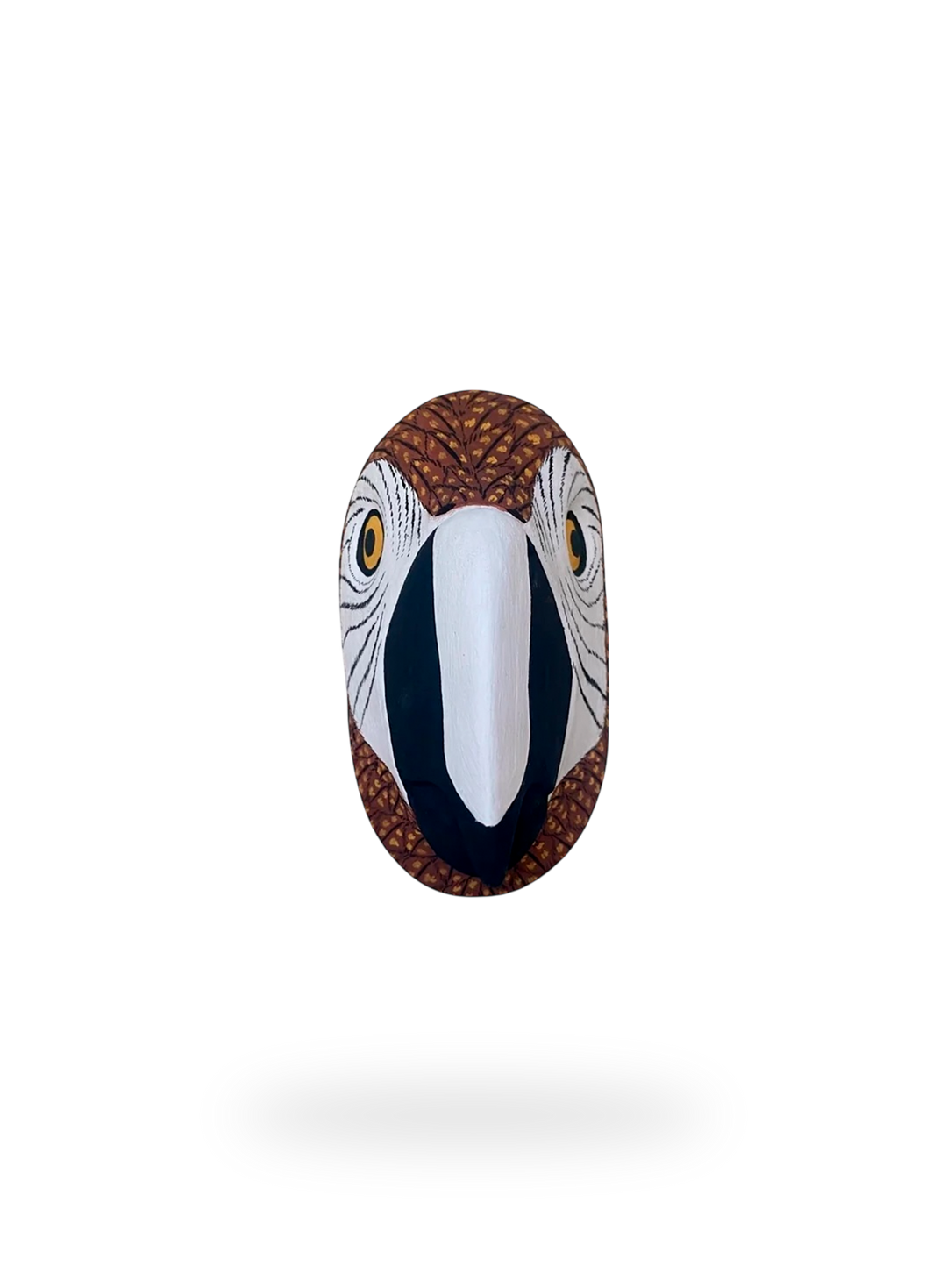 The Red Macaw