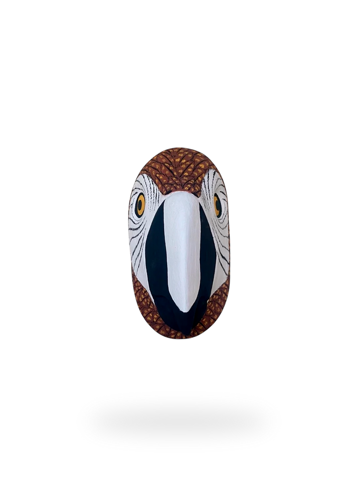 The Red Macaw
