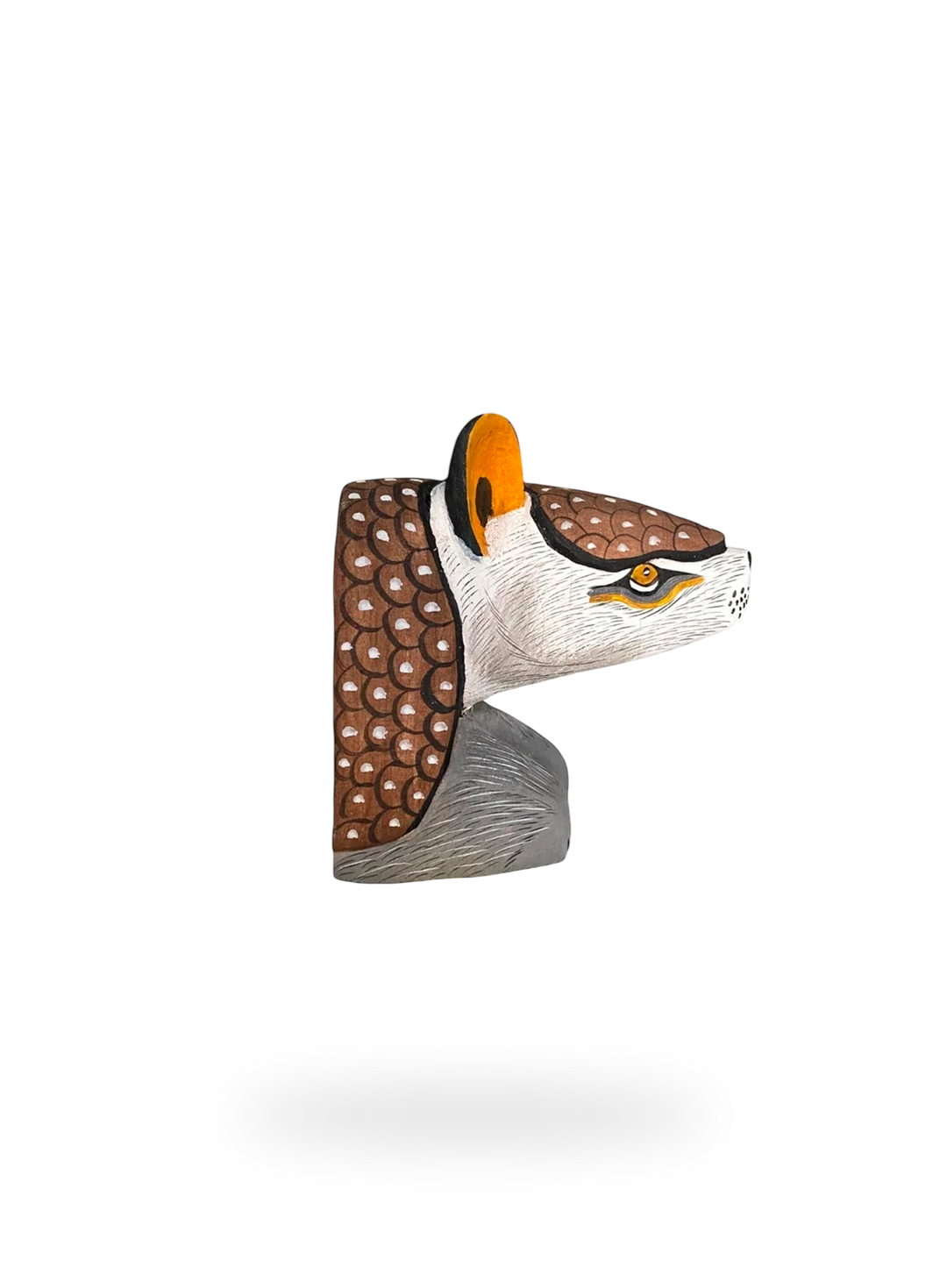 The Resting Armadillo
